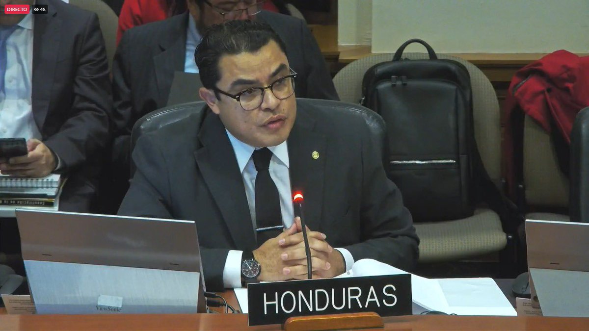 Intervenciones OEA sobre las elecciones en Honduras. Agradecemos el respaldo de la OEA y la no intervención en asuntos internos. La mayoría de los países se manifestó respaldo a la institucionalidad y la voluntad del pueblo de Honduras. <a href="/OEA_oficial/">OEA</a> 

✅: 15
❌: 1

1. Argentina
