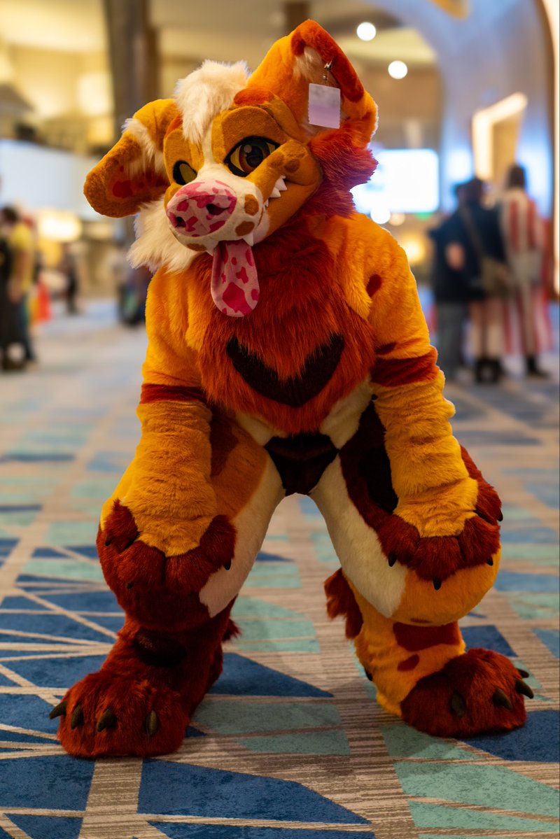 ImBlyze's tweet image. Mff is a week away. Didn’t get much nibbles on photoshoots. Anyone wanna schedule something? 

Photos featuring~
@VellumArtwork @areyoufurwheels @SherbertPup @Emmacreatures