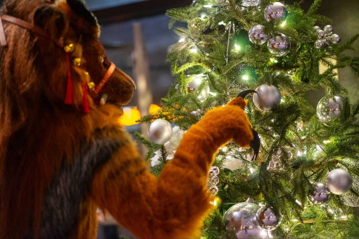 ImBlyze's tweet image. Mff is a week away. Didn’t get much nibbles on photoshoots. Anyone wanna schedule something? 

Photos featuring~
@VellumArtwork @areyoufurwheels @SherbertPup @Emmacreatures