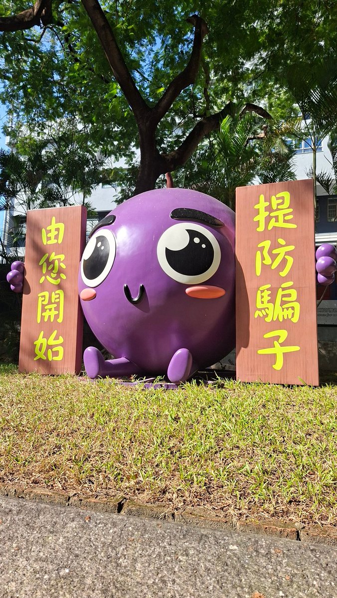 JayssonJay1's tweet image. A grape used by the Hong-Kong police as part of anti-scam awareness. Huge scam in itself, clearly a blackcurrant! Bit of fun!!!