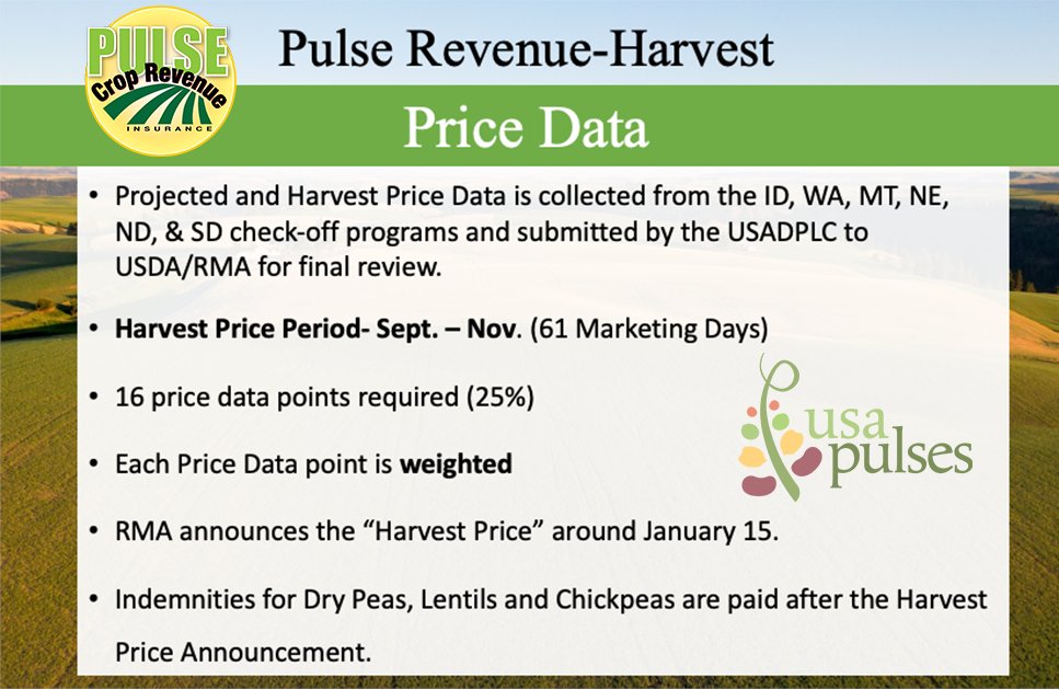 USAPulsED's tweet photo. Did you make a sale today, Pulse Growers?  There are only two (and a half) working days left for a pulse crop sale to contribute toward zeroing in on an accurate PCRIP harvest price.  Have a fantastic Thanksgiving! https://t.co/t51qpgf2LT