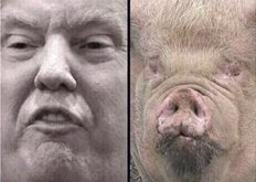 WILLDYE4U's tweet image. THE RESEMBLANCE IS UNCANNY!!

a FAT SLOB
calling a sitting GOVERNOR
a FAT SLOB
is childish
but
THAT&apos;S what we have.

a SELF DESCRIBED 6y/o.

a MALIGNANT NARCISSISTIC PSYCHOPATH
with the IQ of a common slug...

the sooner he&apos;s gone
the better off we&apos;ll all be.

#trumpMustGO!