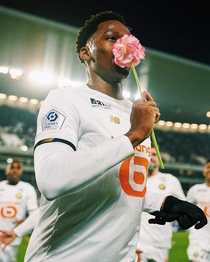 Che sia finalmente sbocciato un fiore in Norvegia?