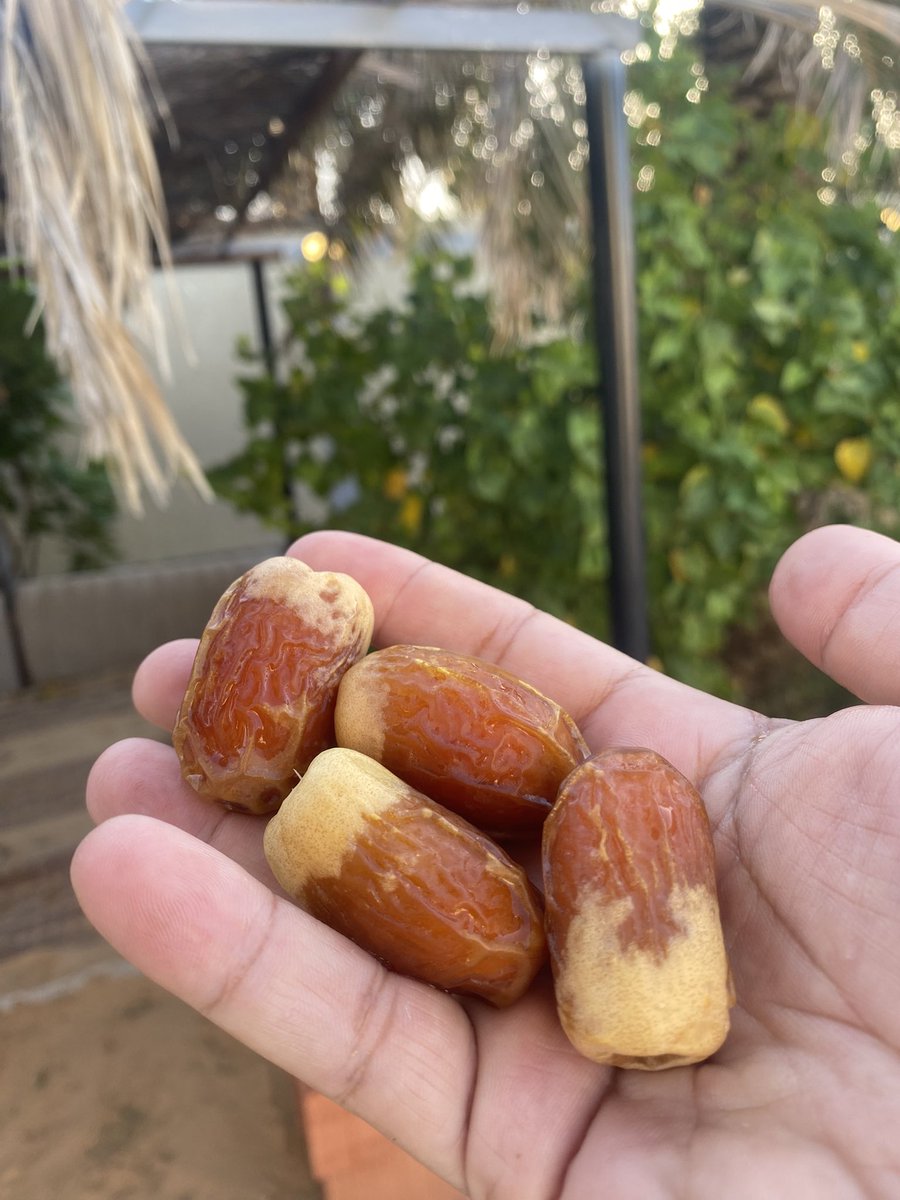 alrifi9's tweet image. اختار رقم الحظ من 1 الى 25🌴♥️
1
2
3
4
5
6
7
8
9
10
11
12
13
14
15
16
17
18
19
20
21
22
23
24
25

واحد من الأرقام فيه (هدية 5 بكجات بقيمة 1000﷼) تمور توصلك لباب بيتك من مزرعتي🌴

فقط:
رتويت + واكتب أي رقم 🫡