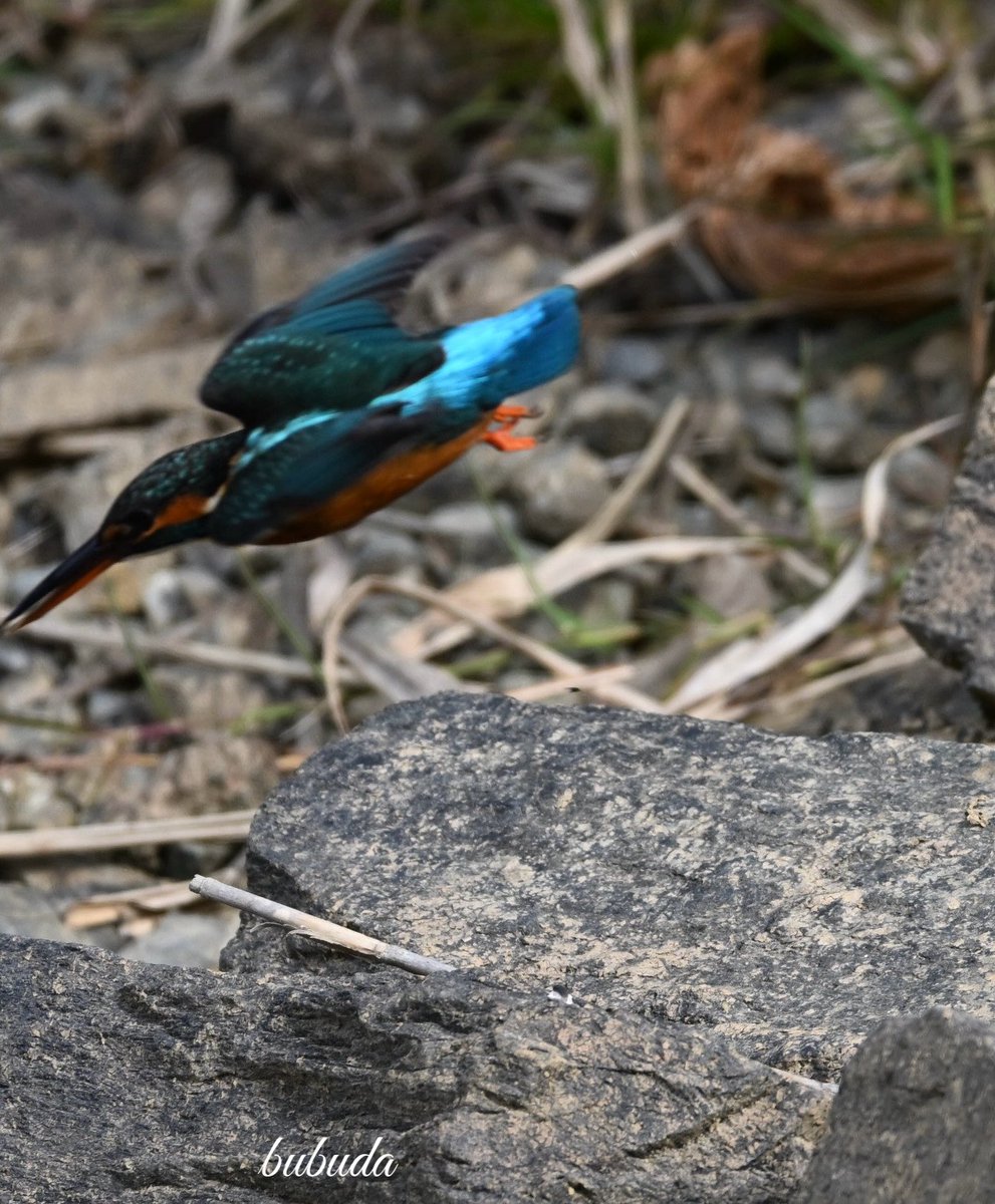 bubuda_bubuda4's tweet image. 皆さま、お早う御座います
八女市の現場、最終日❗️
バタバタ〜忙しい現場でしたが、無事完了✅
今夜、日付📆替わる頃、帰路へ〜🤭