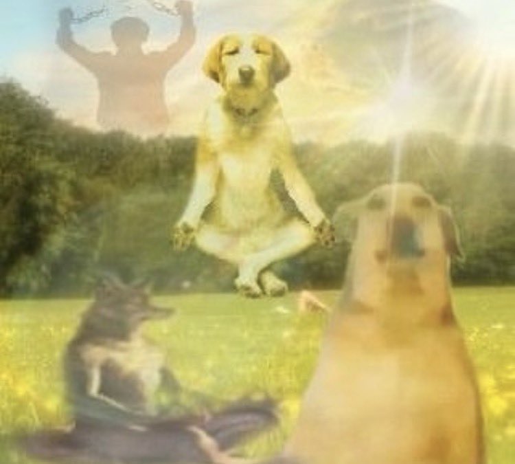 dina_michi's tweet image. amo tanto esse genero de imagem me mandem todas