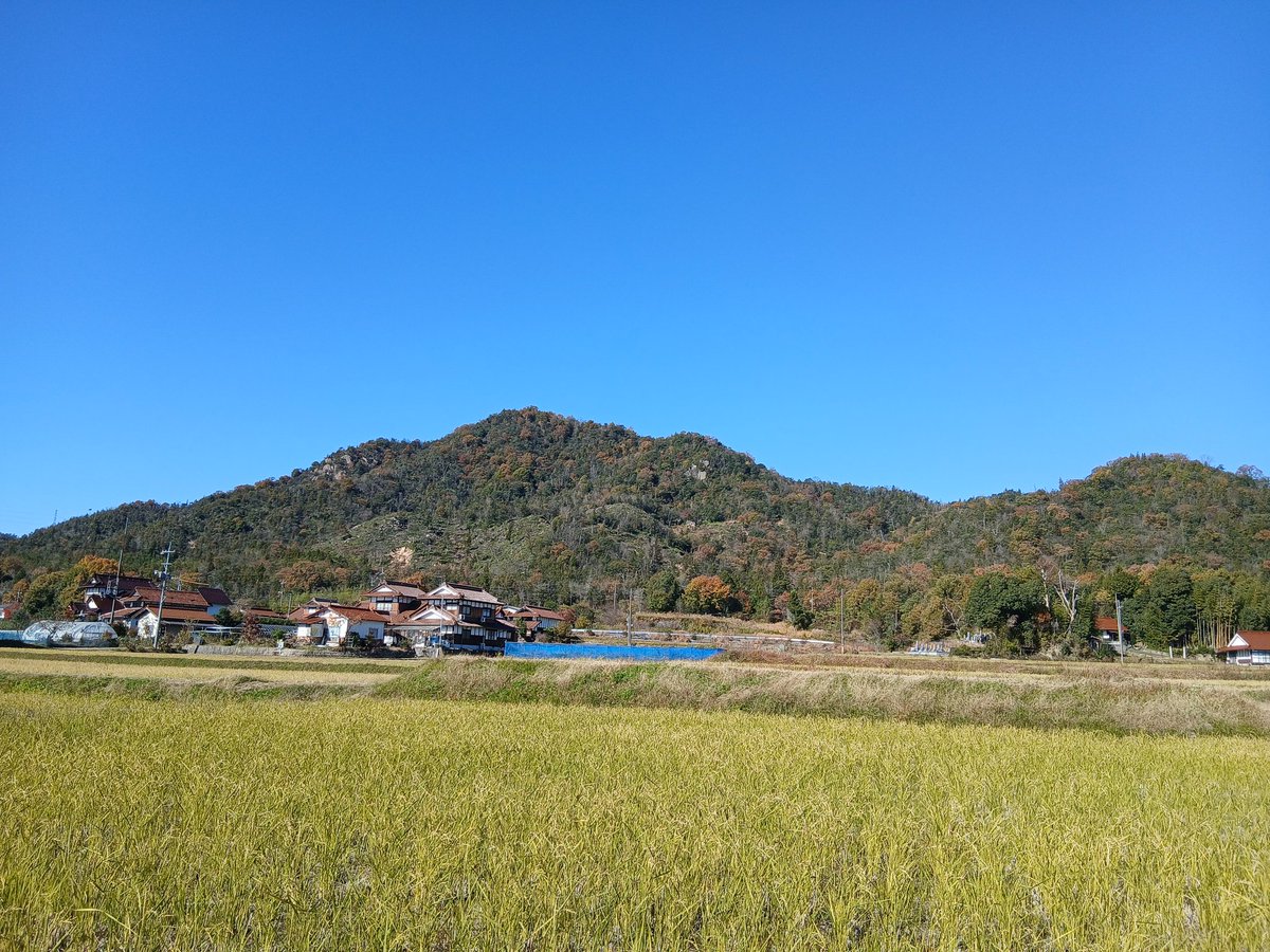 isshin_tk's tweet photo. 槌山城(東広島市)
鏡山城落城後の大内氏の安芸拠点城郭の１つ

・東側曲輪群は斜面箇所に階段状曲輪を置き、その南側を幅の広い通路で結ぶのが特徴的だが、後の遺構との指摘も https://t.co/cLhdFqqv0A