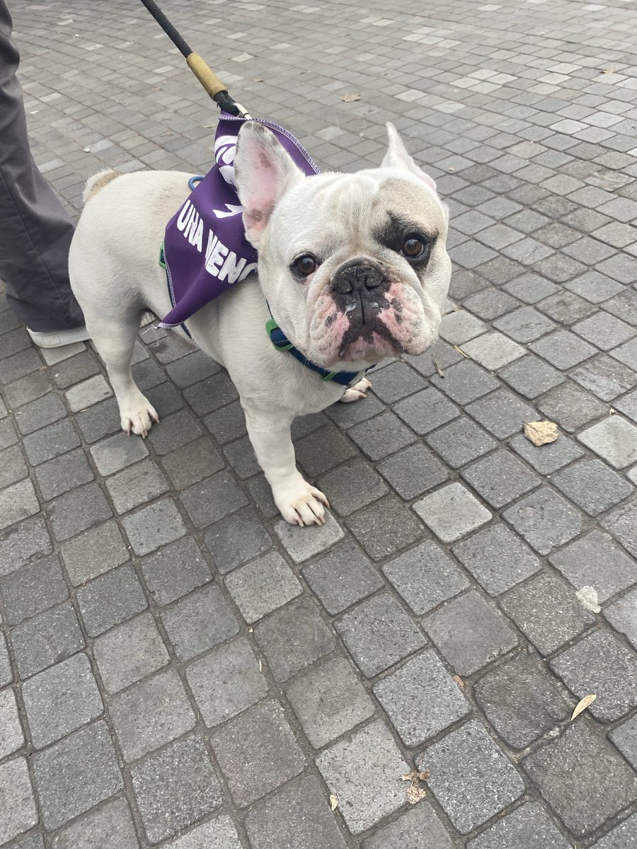 ColecGeneroAcPo's tweet image. #25M #NiUnaMenos