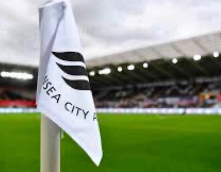 Enough is enough. Bloke is fucking useless. Ronald out <a href="/SwansOfficial/">Swansea City AFC</a>