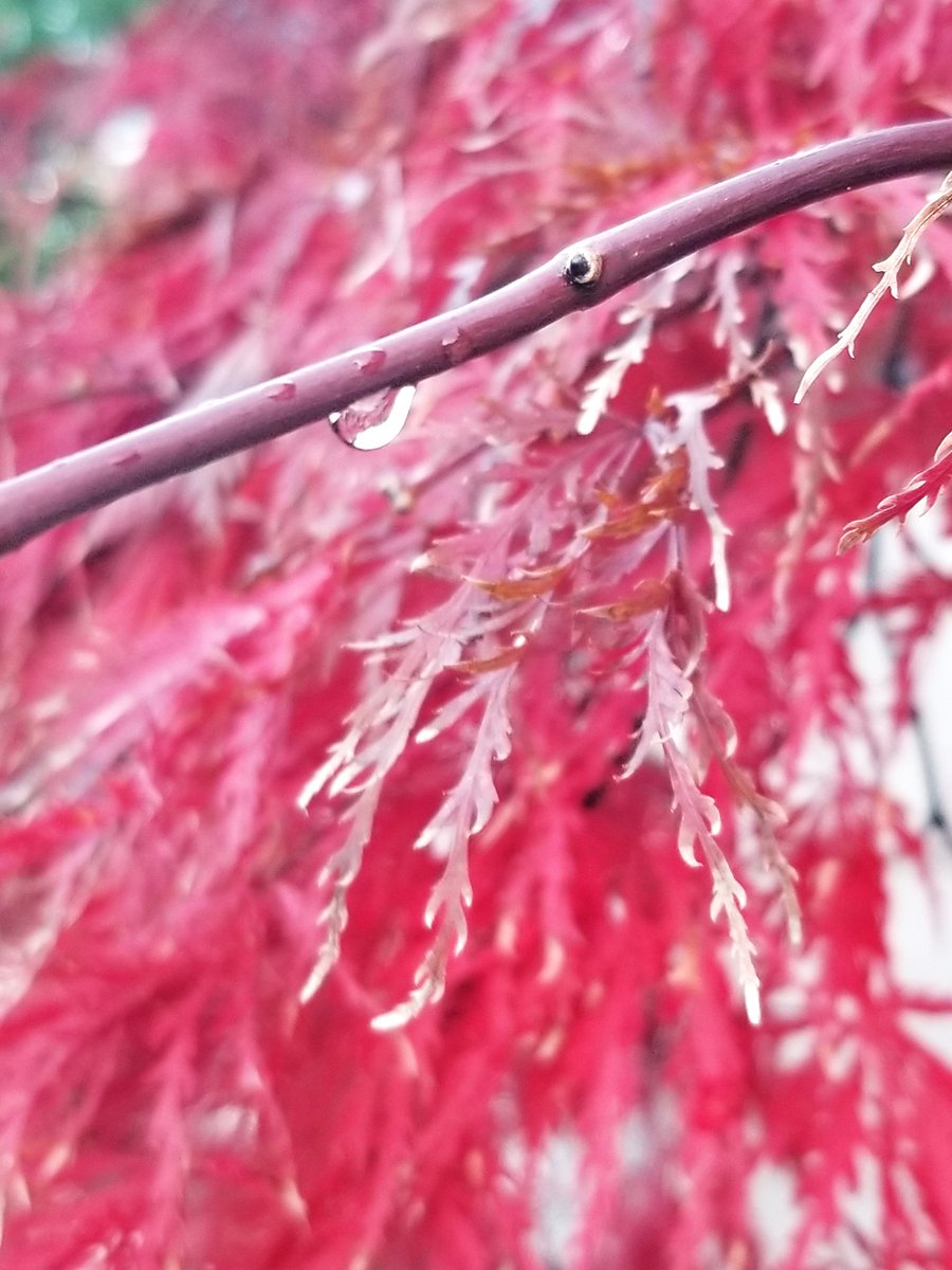 sakurahappy5181's tweet image. 五感
感覚
直感
分別
良識…
全部、自分のsense💧