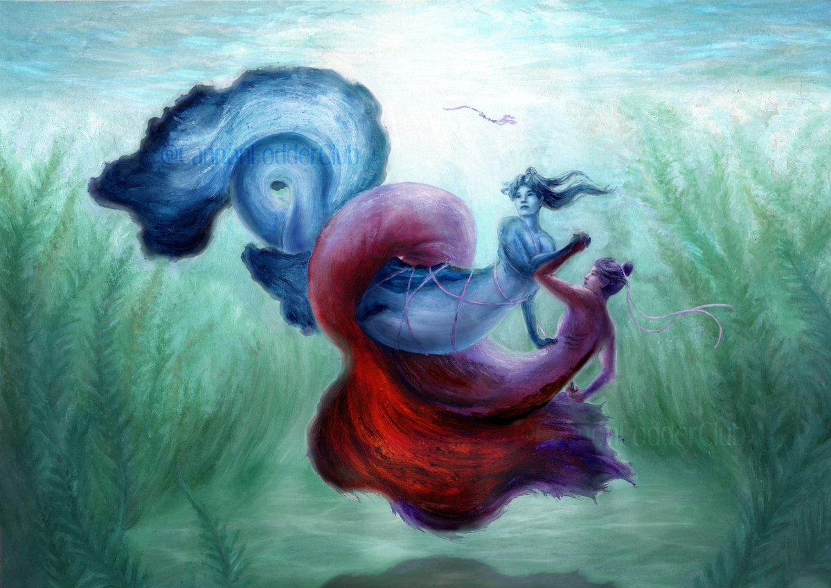 CannonFodderClub tweet media