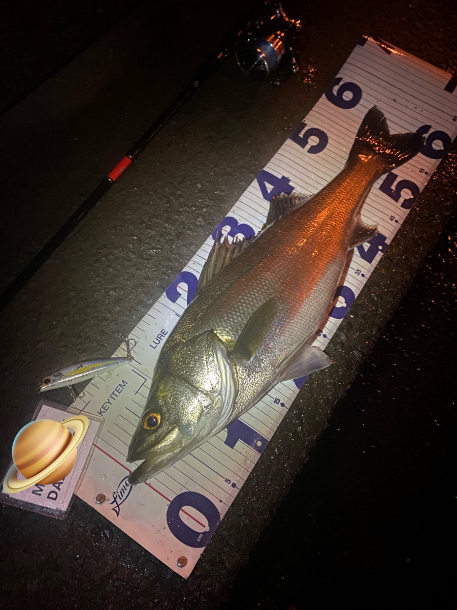 GONZO＠（hayaken) (@GONZOUDAIWA) / Posts / X