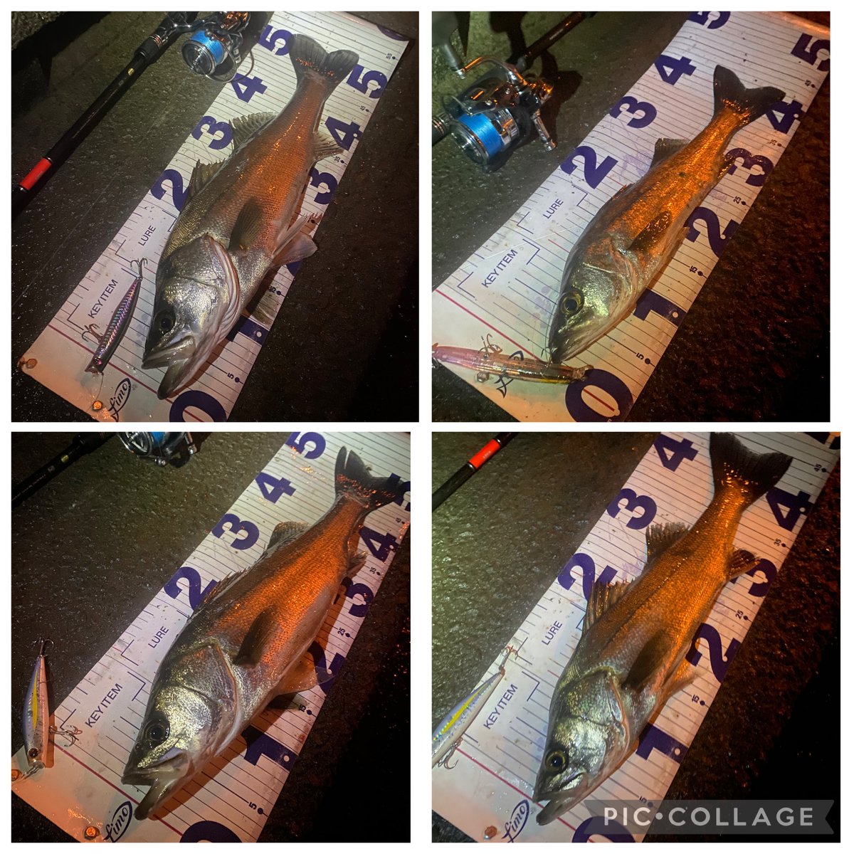 GONZO＠（hayaken) (@GONZOUDAIWA) / Posts / X