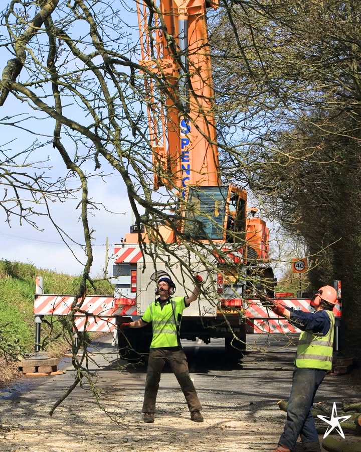 silverstartree's tweet image. 🌲 Heavy Lifts, Safe Moves
Our crane-assisted tree removal handles even the biggest jobs with precision, keeping your property safe and damage-free.

📞 Book now at silverstartree.com

#CraneTreeRemoval #TreeExperts #SilverStarTree #SafeTreeWork #ArboristServices