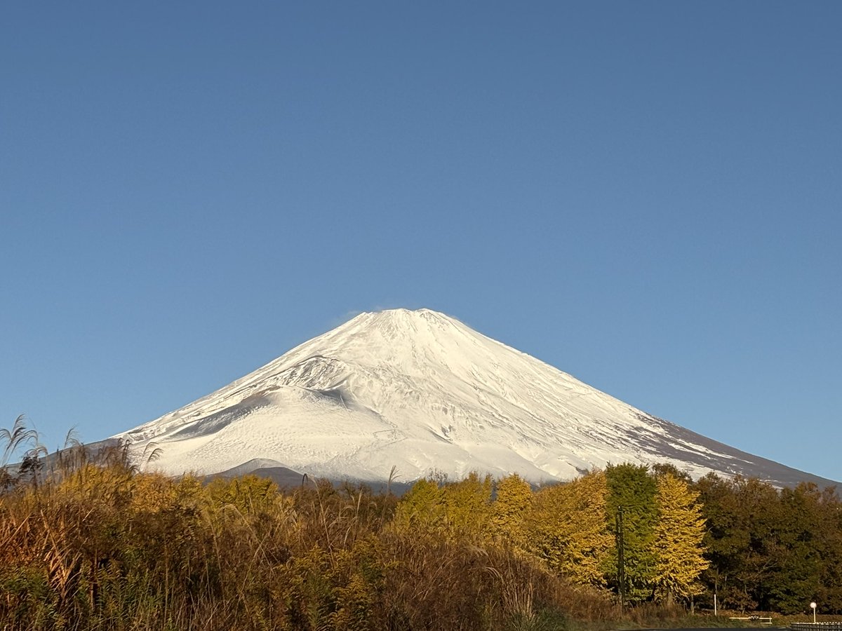 aki＠XSR900 バジルーラ (@AkiMt25) / Posts / X