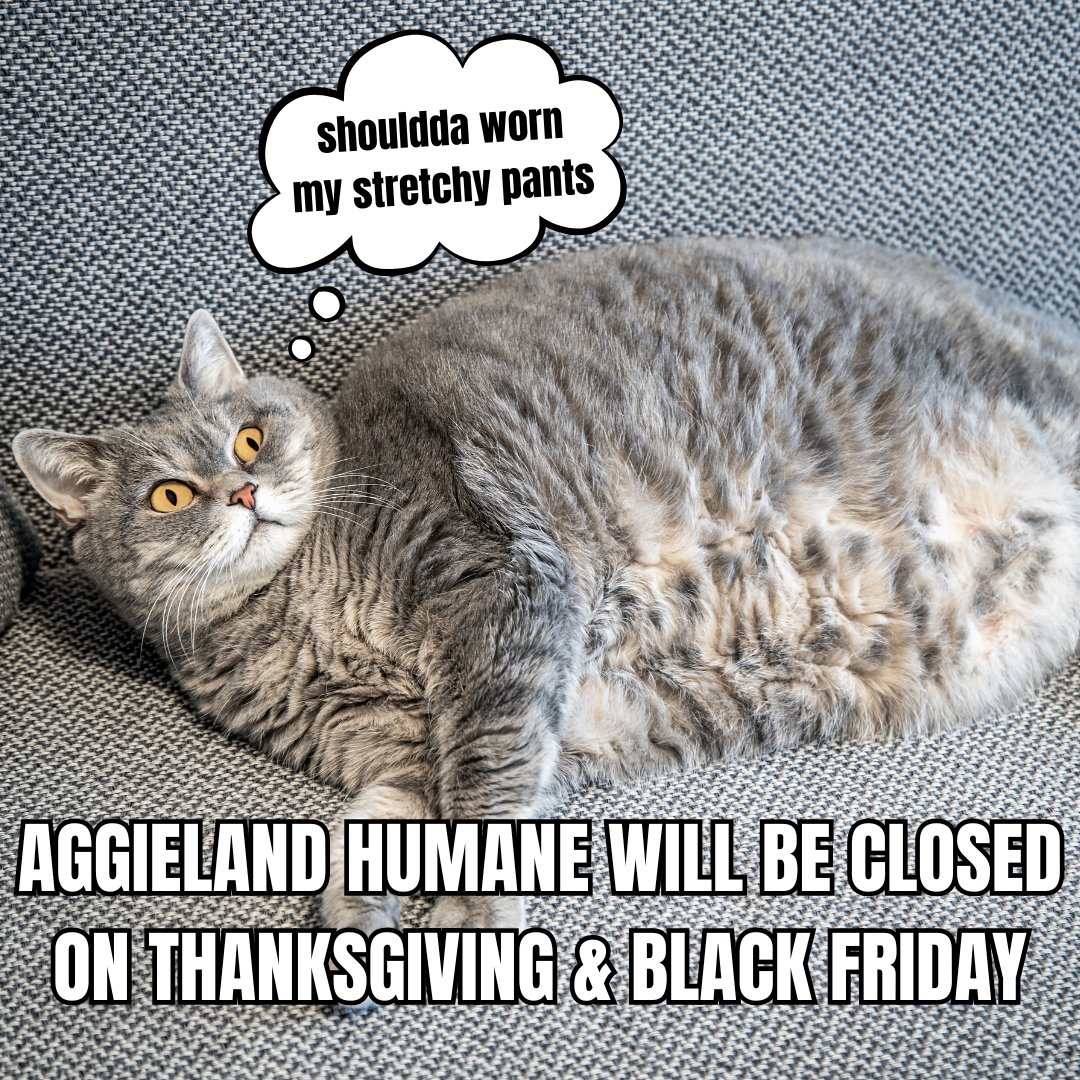 Aggieland Humane will be closed on Thursday &amp; Friday, November 27th &amp; 28th. We will reopen on Saturday, November 29th, at noon!

We hope you and yours have a Happy Thanksgiving!

Don't worry; the pets will be well taken care of by our fabulous team and amazing volunteers!
