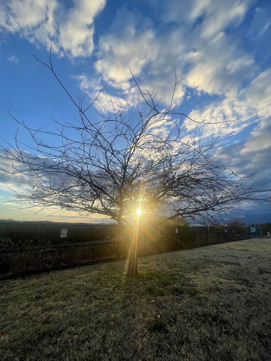 eriniyan⭐︎ 断捨離中♡Plage TAFTA CAMI サロペ layzan - البحث / X