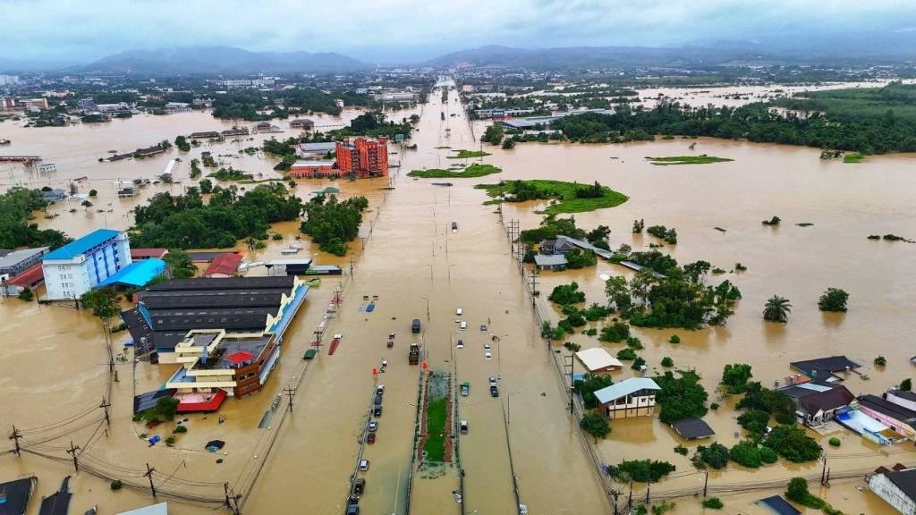 MYellowcode's tweet image. อนุทินชื่อนี้มีแต่พัง
ตอนเป็นรมว.สาธารณะสุข จัดการโควิดล้มเหลวทั้งระบบ
ตอนนี้เป็นนายก ปัญหาน้ำท่วมพังทั้งระบบ  #น้ําท่วมหาดใหญ่