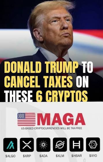 JackStr42679640's tweet image. #ALGO 
#XRP 
#XLM 
#XBAR
#XYO
#ADA