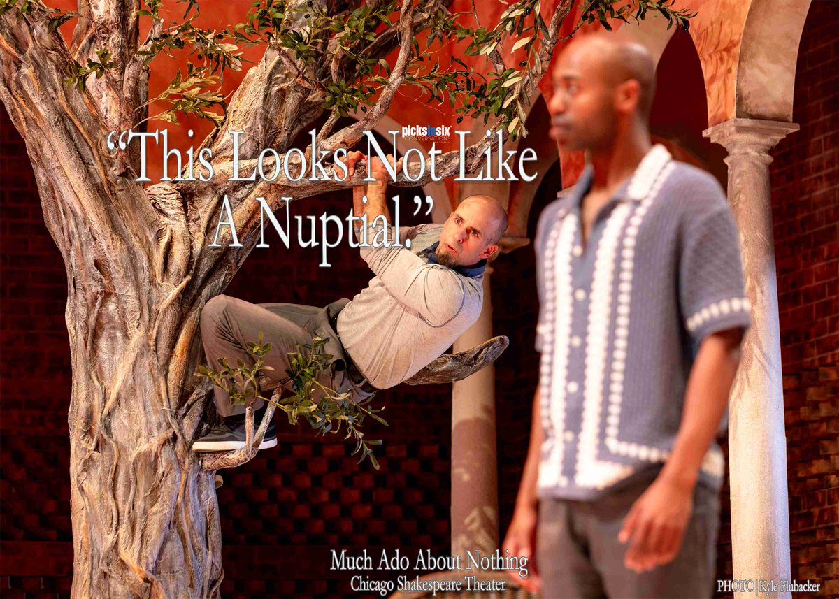 PicksInSix's tweet image. #PicksInSix Review - "Much Ado About Nothing" at Chicago Shakespeare Theater is directed by Selina Cadell and stars Deborah Hay and Mark Bedard with a knockout comic gem from Sean Fortunato. Read the review and see the show through December 21.  conversationswithedtracy.com/picksinsix/202…