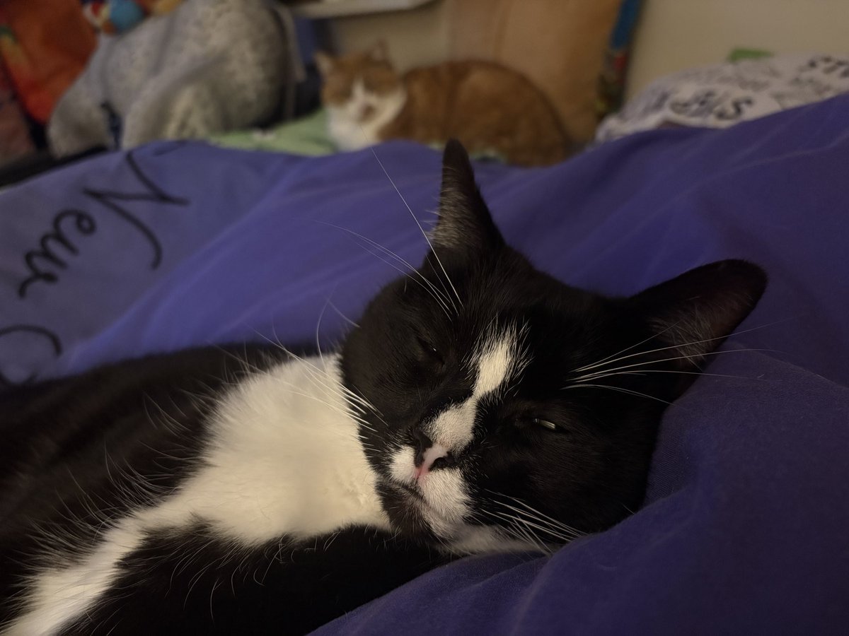 I have a bit of a tummy ache, so Mummy and I are looking after each other 😻