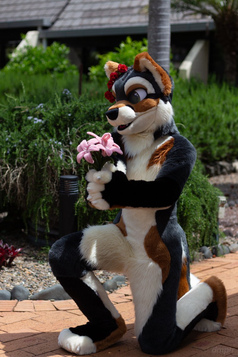 kittlums tweet media