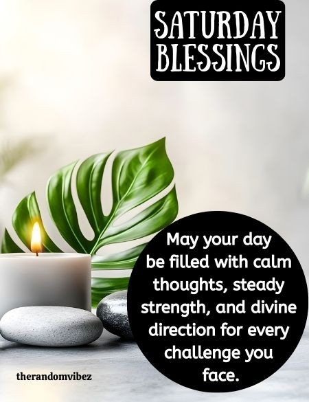 therandomvibez's tweet image. therandomvibez.com/180-saturday-b…