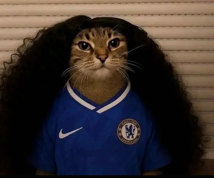 Lamin yamal after the match..
   Cucurella was using voodoo 🙄🤣 
    I saw white powder in his pocket 🙄🙄🤣🤣