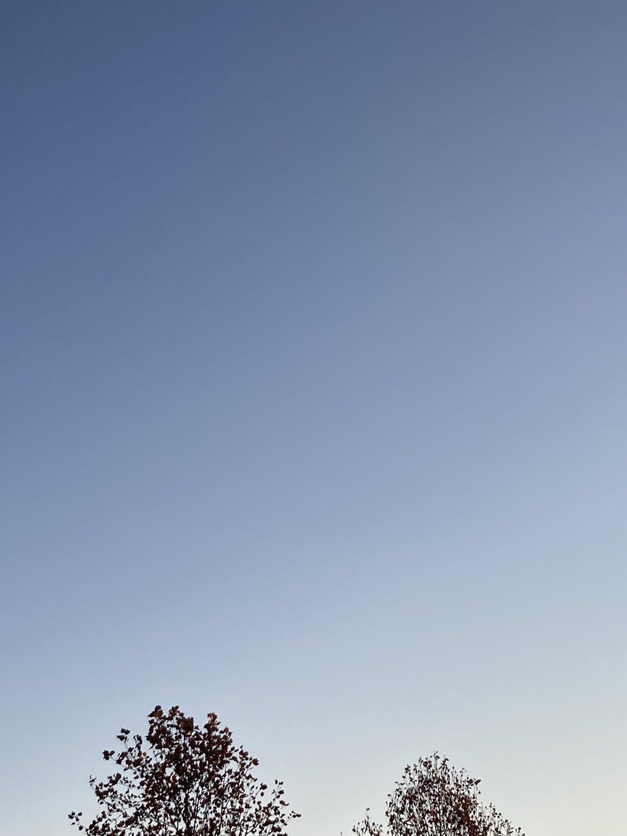 soap_dreamer's tweet image. おはようございます。
11/26(水)もよろしくお願いします。
冷たくも澄んだ朝の空気が、心地よく感じます。
日中は暖かくなりそうな予報です。
今日も穏やかな一日となりますように……

#空を見上げて #出勤