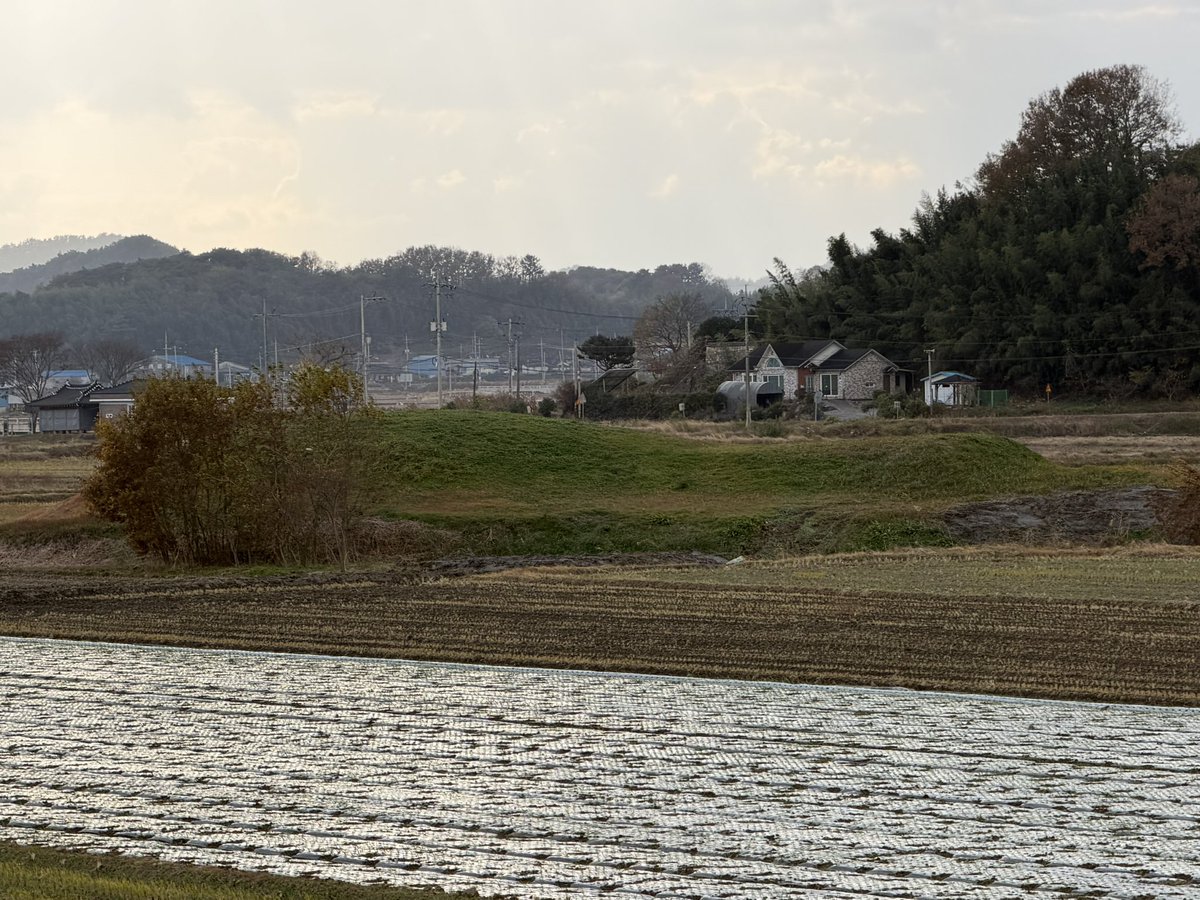 BackInMusashi's tweet image. 全羅南道 羅州佳興里新興古墳。前方後円墳の一つ。最後の写真は発掘報告書から。縦穴系横口式石室。柱の跡が気になる。