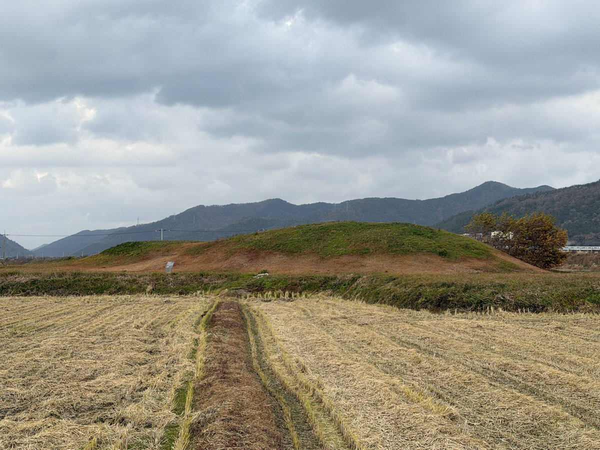 BackInMusashi's tweet image. 全羅南道 羅州佳興里新興古墳。前方後円墳の一つ。最後の写真は発掘報告書から。縦穴系横口式石室。柱の跡が気になる。