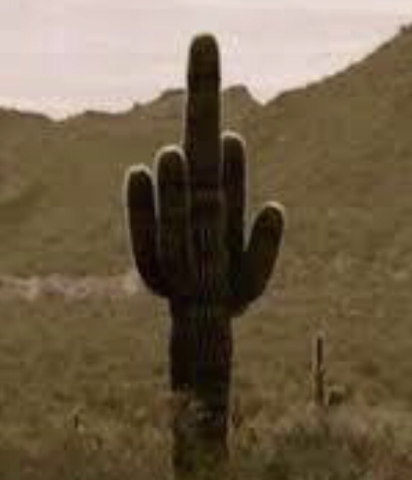 lisasmi51179285's tweet image. 