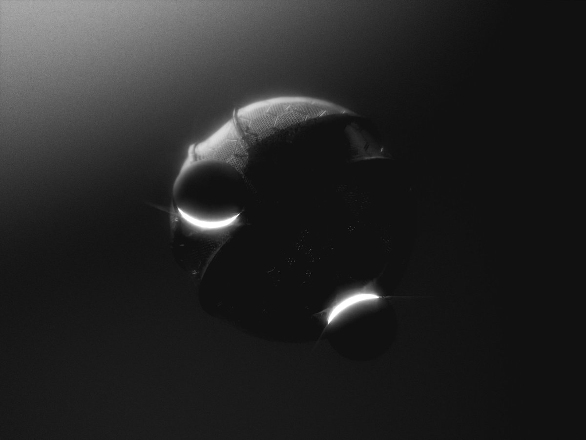 SomaRyuu's tweet image. when the client gives you creative freedom

first look at what i&apos;ve been cooking

full reveal soon