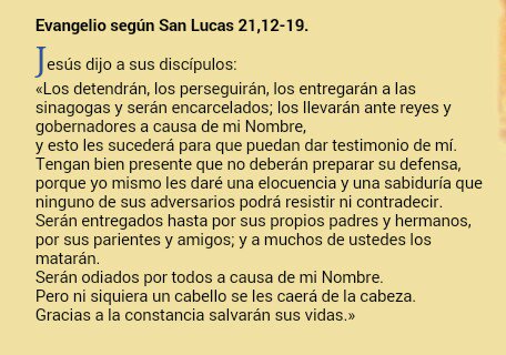 Mensaje: A lo largo de dos mil años, la Iglesia ha seguido teniendo esta misma experiencia: los cristianos han sido calumniados, odiados, perseguidos, llevados a muerte. ¡Cuántos mártires, de todos los tiempos, también del nuestro, nos estimulan con su admirable ejemplo!