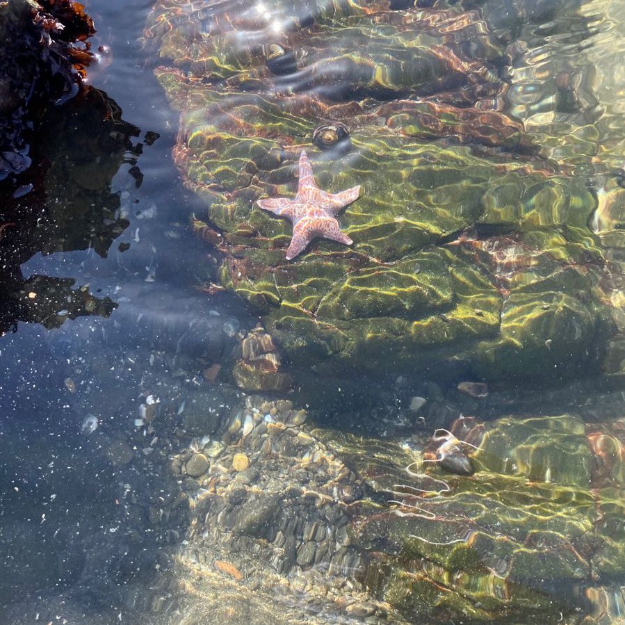 ejakegirl's tweet image. como o pinterest me vê?

personagem
ídolo 
estética
outfit

?????????? ata ídolo meu pinterest me odeia