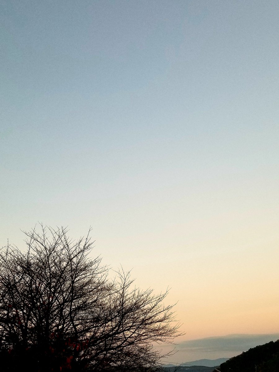 sakurahappy5181's tweet image. 朝焼けの坂道まで歩いたら暑なってきて…
ほんで今日はどんな服着ていったらええにゃろ
服装選び…プチストレス😭

#イマソラ
#いまそら