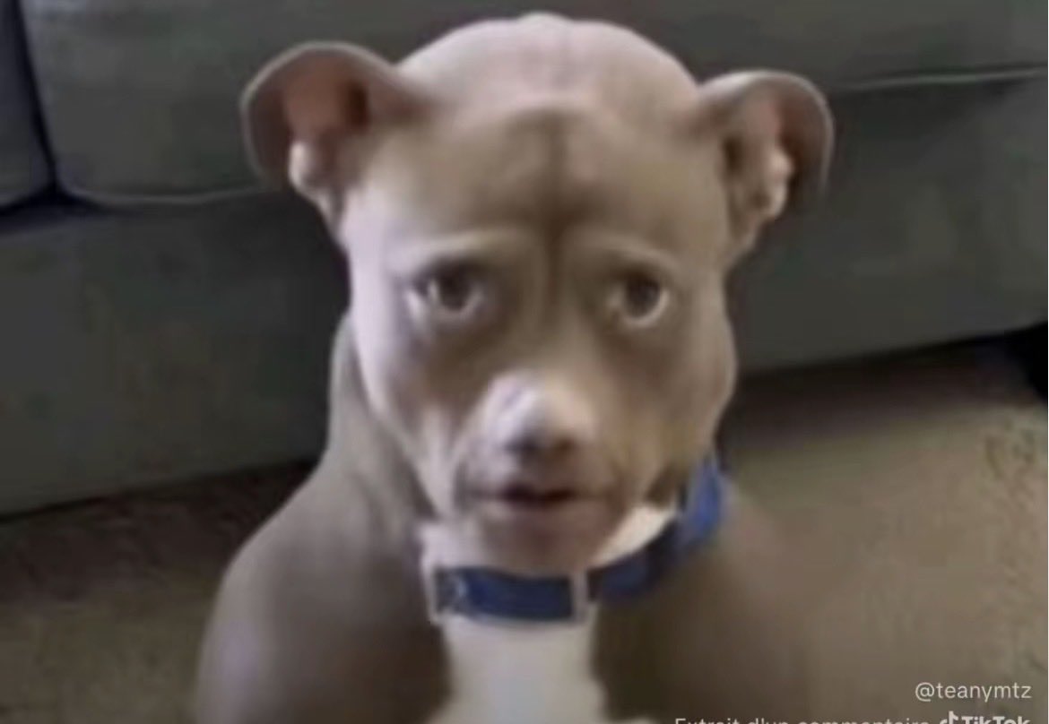 Maraplay (@killerqueendamn) on Twitter photo 