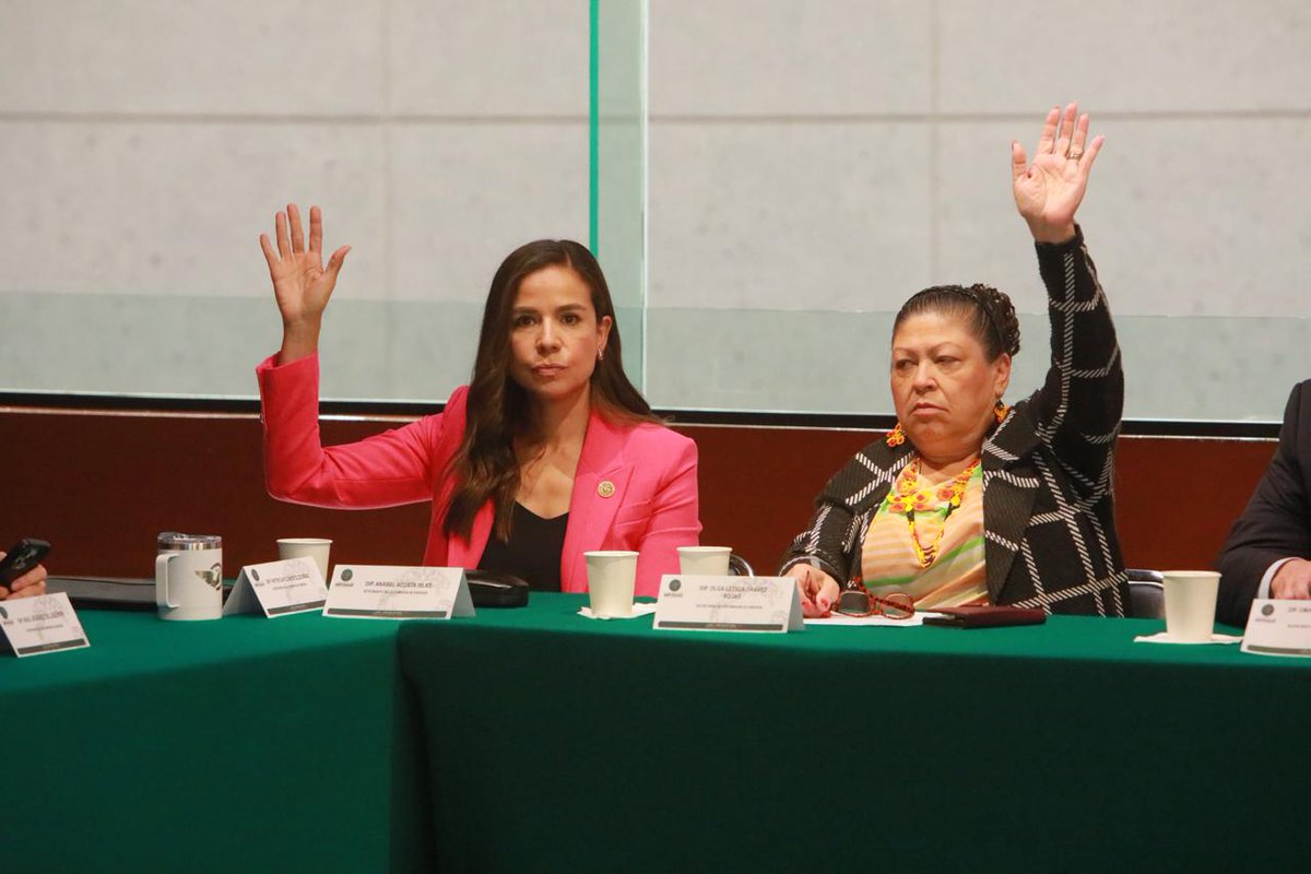 Diputados Verdes tweet media