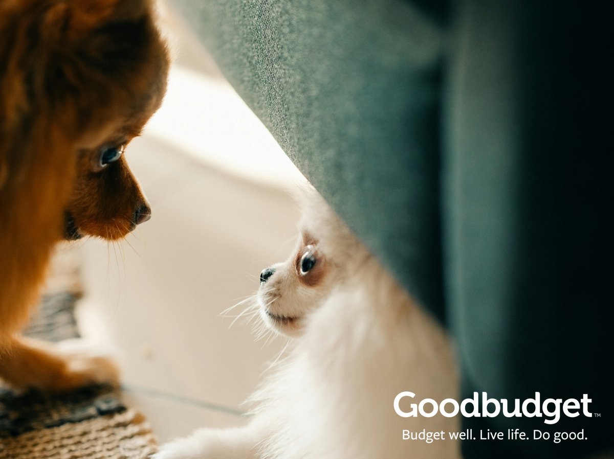 Goodbudget tweet media