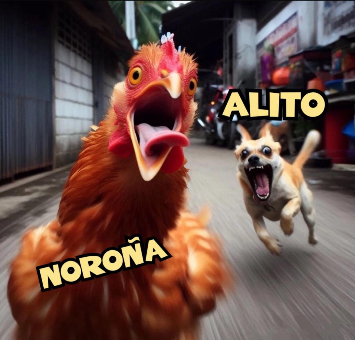 elotrosdatos2's tweet image. Lixiviado, mejor cállate o @alitomorenoc te pone otro estate quieto.