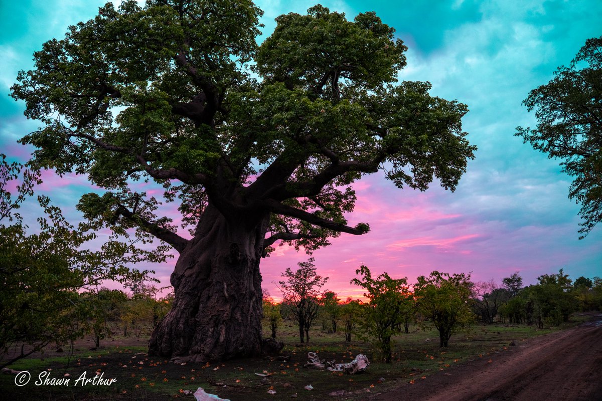 South Africa &amp; Zimbabwe were beautiful. Have a taste while I slowly edit through 10k+ pics