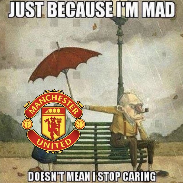 they’ve been shit for most my life yet id still pick them every day of the week idc