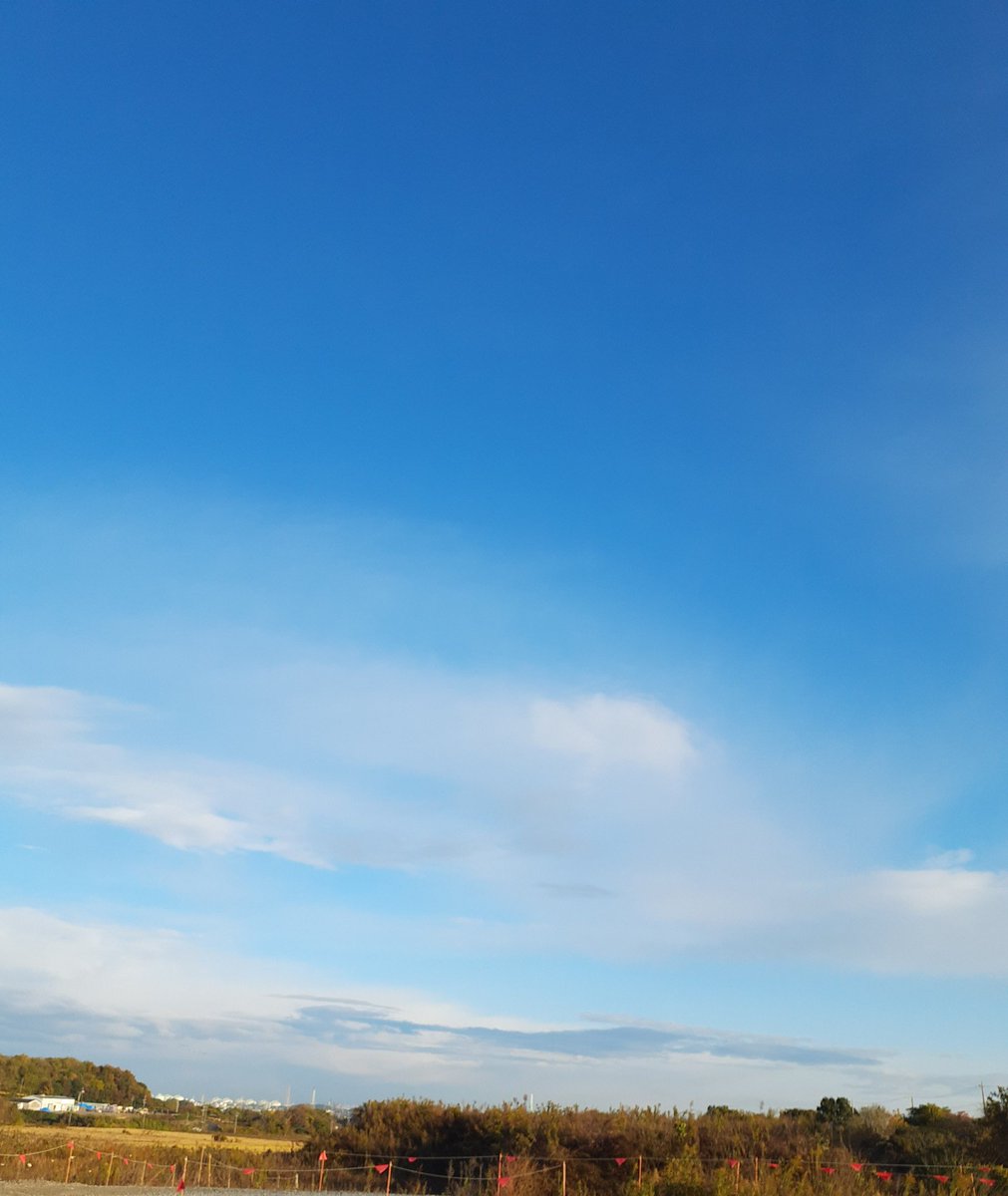 fJ8ehQ28CMR9p57's tweet image. 皆さん
おはようございます
少しひんやりですけど
いい天気になりました
仕事に余裕があって皆さんのポスト拝見できたらいいなと思ってます
今日もよろしくお願いします😊
素敵な1日を〜🤗