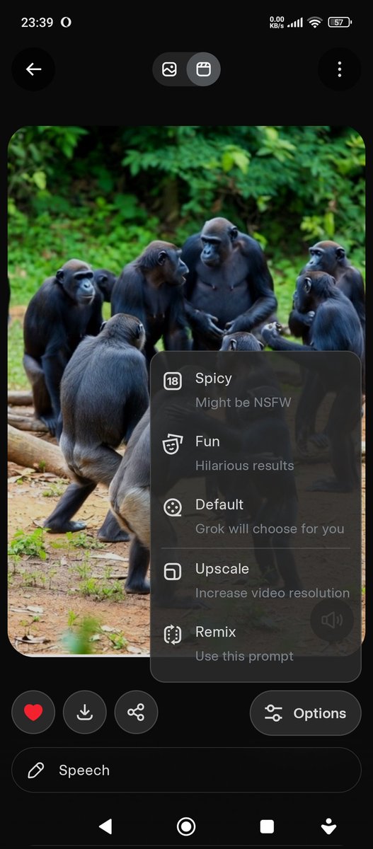 AveA Reef tweet media