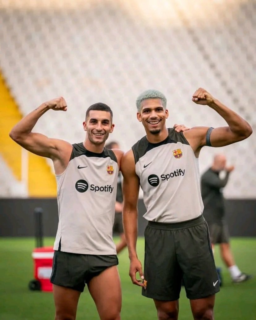 Person wey called dem self Shark 🦈 and Gorilla 🦍 . Wey shark live for water n Gorrilla Dey Forrest n u take dem serious 🧐