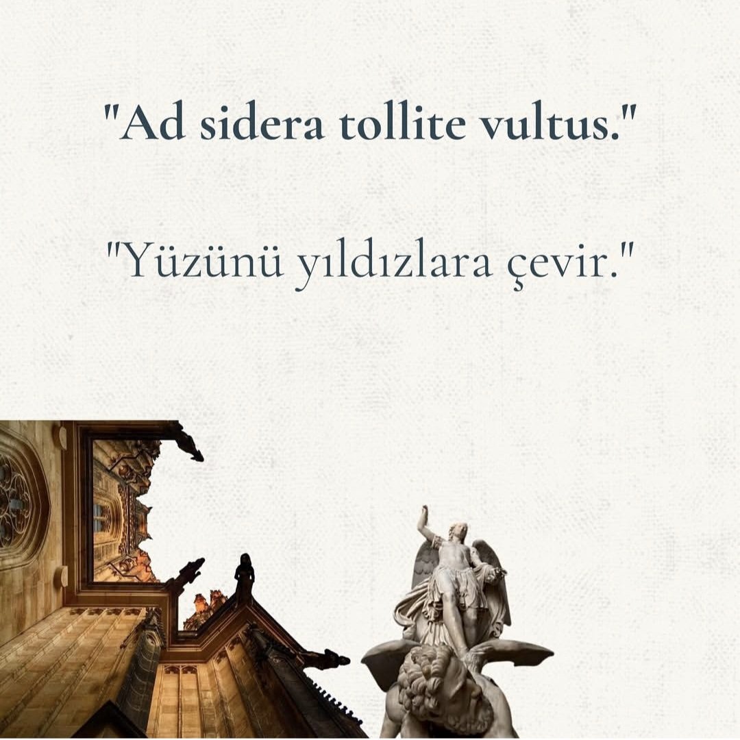 Zekiye_bas86's tweet photo. ✨️✨️✨️ https://t.co/ZX1RYIsr96