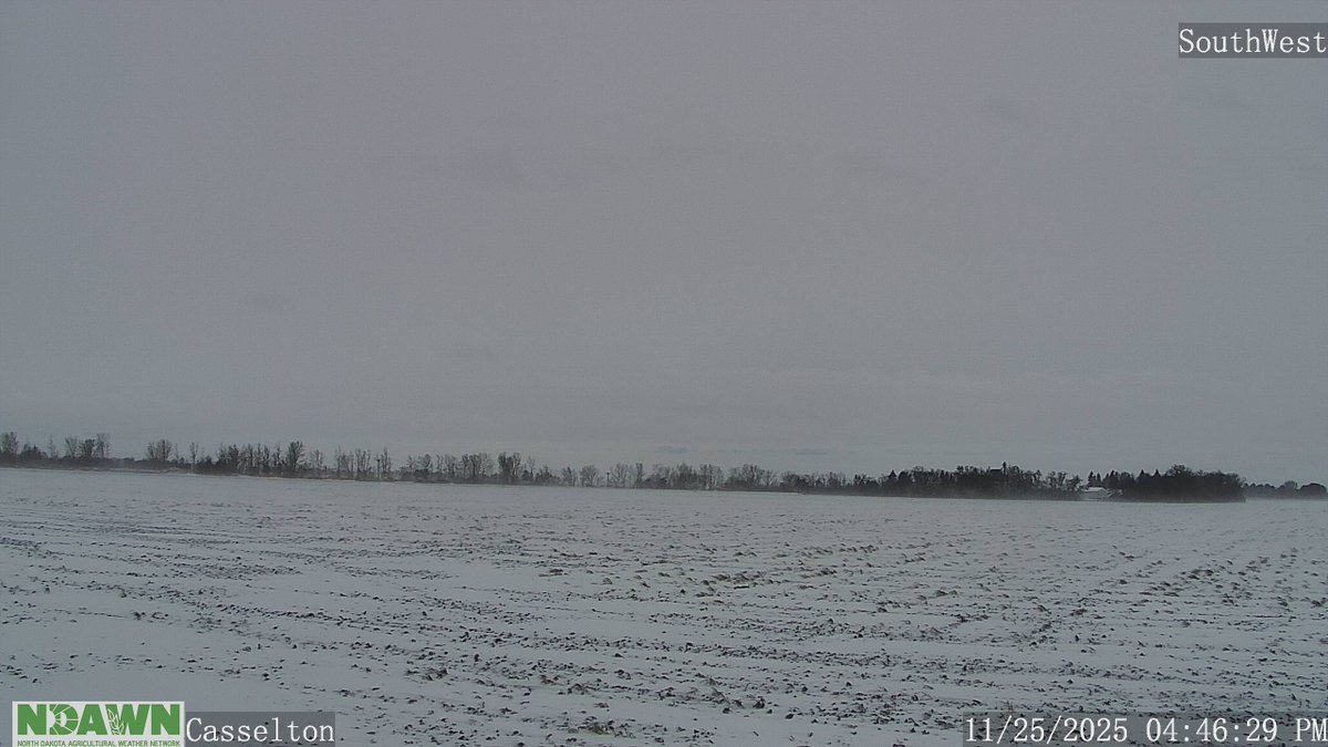 Daryl Ritchison tweet media