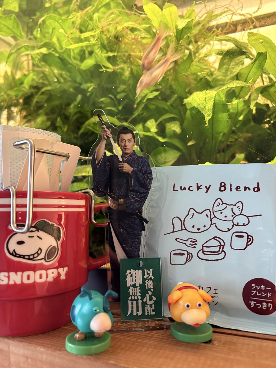 ✨おはようございます😊 昨夜の雨で 空気が澄んでいる大阪の朝