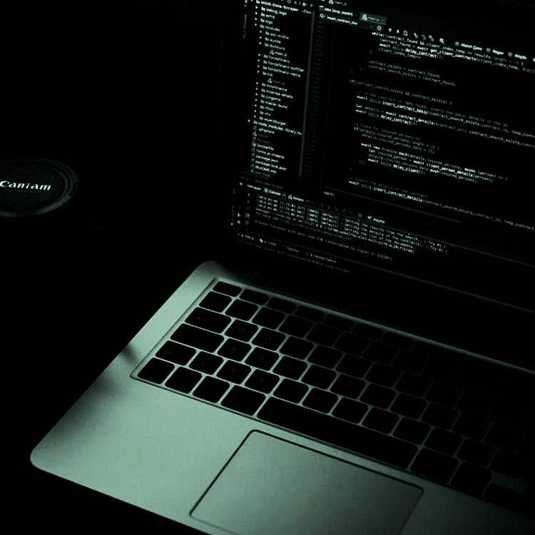 techfleach's tweet image. ㅤ ㅤㅤ 
ㅤ ㅤㅤ . . . faço bicos de hacker ❕
ㅤ ㅤㅤ