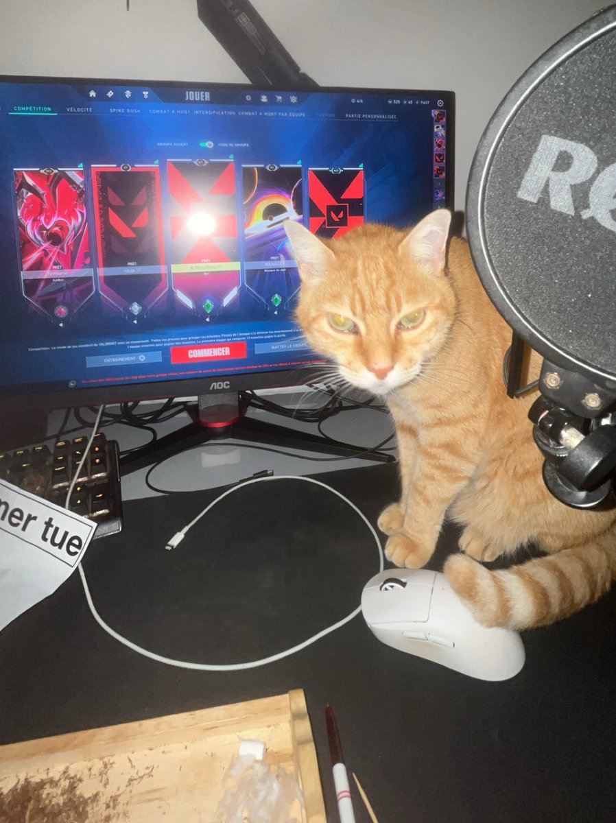 neozvlr's tweet image. Clean Setup